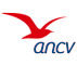 camping ancv pays basque