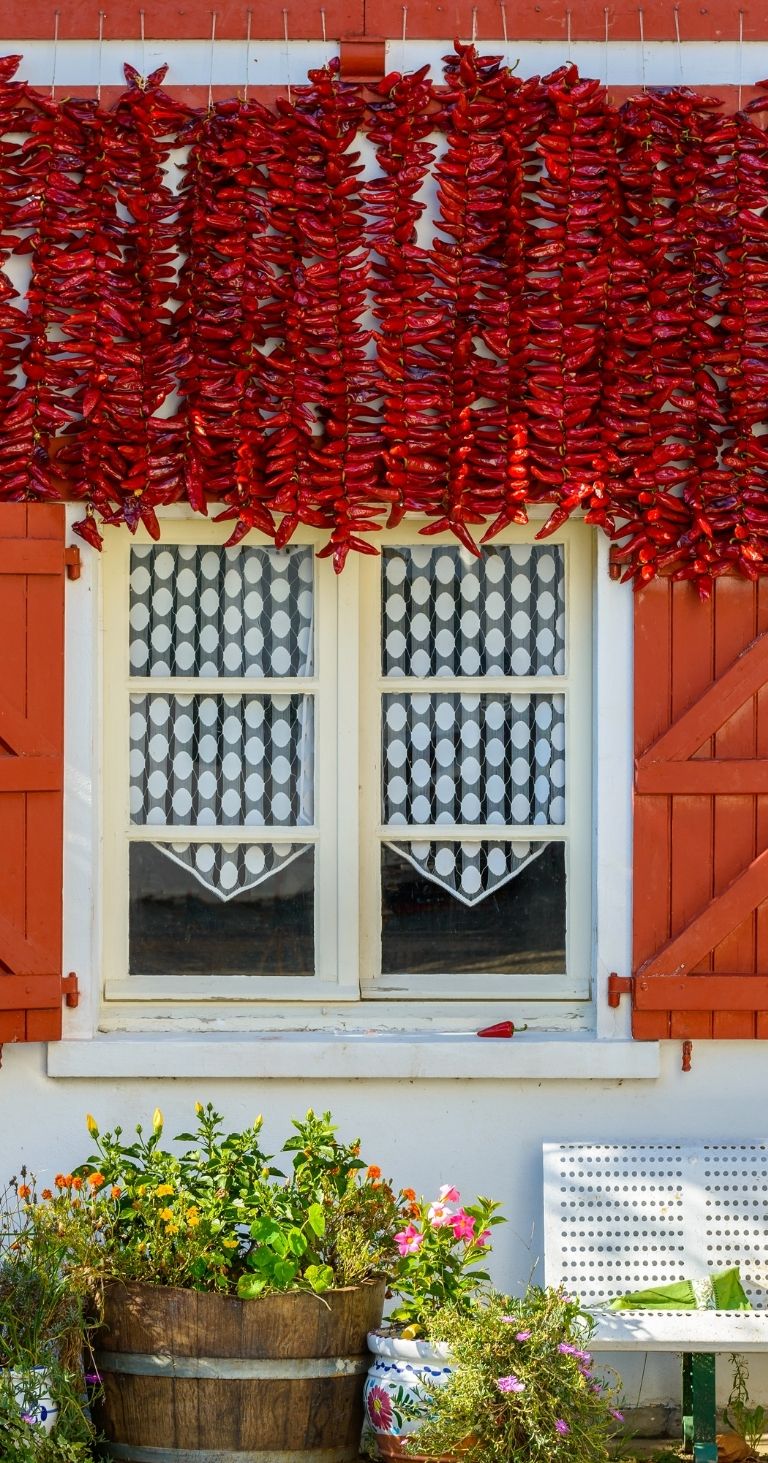 camping la petite rhune culture