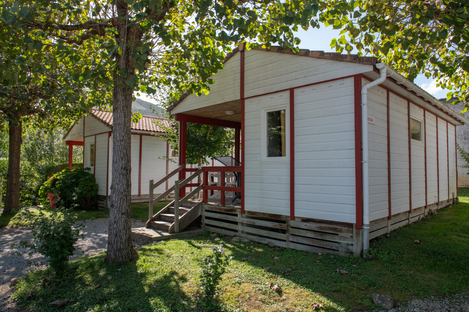 ROBINET olivier(c)2022