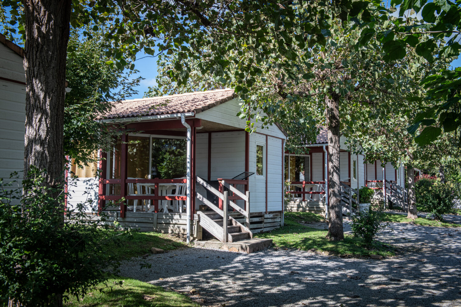 ROBINET olivier(c)2022