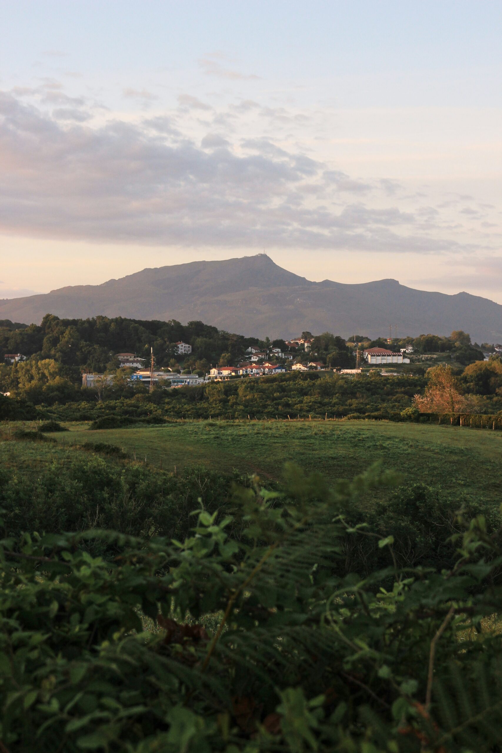 damien dufour 9j7F6BtO59k unsplash